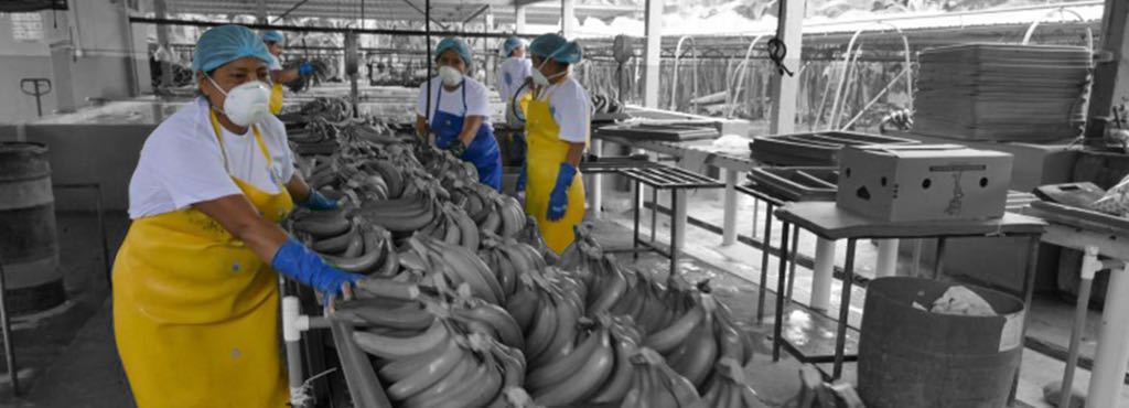 Salario trabajo ecuador
