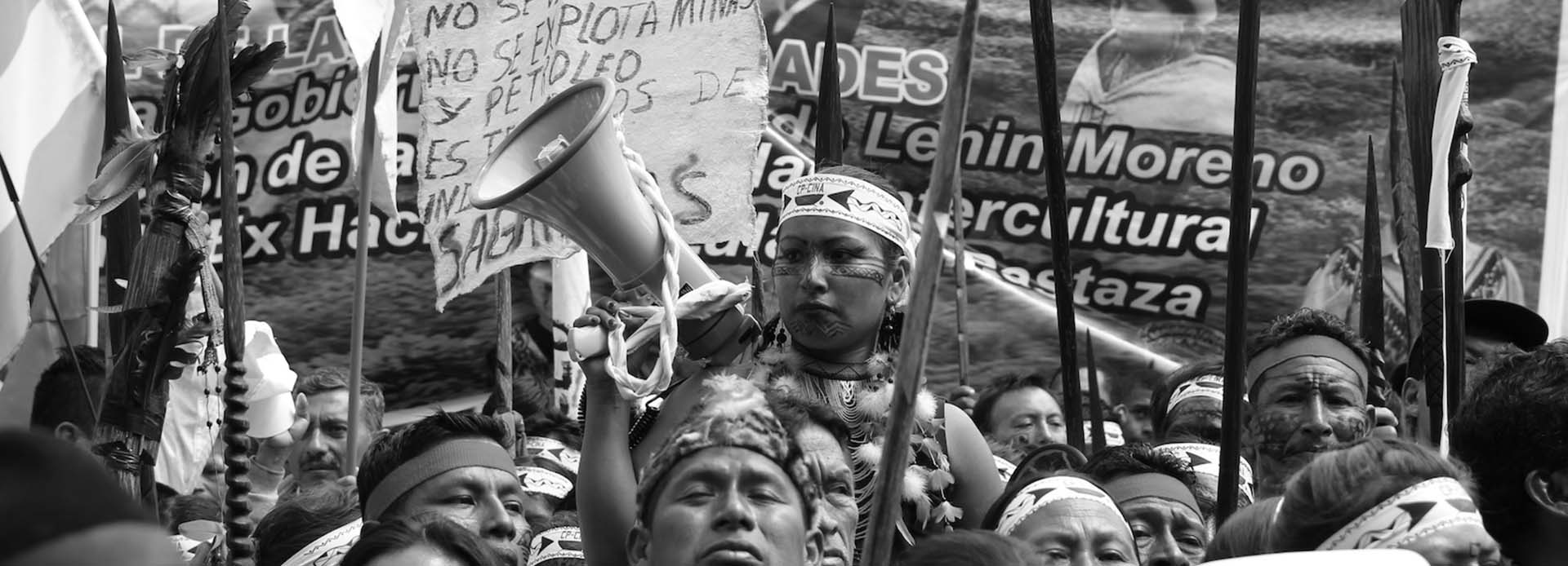 El cinismo de Moreno no encuentra límites, al tiempo que se declara amazónico, permite explotación en territorio de amortiguamiento 