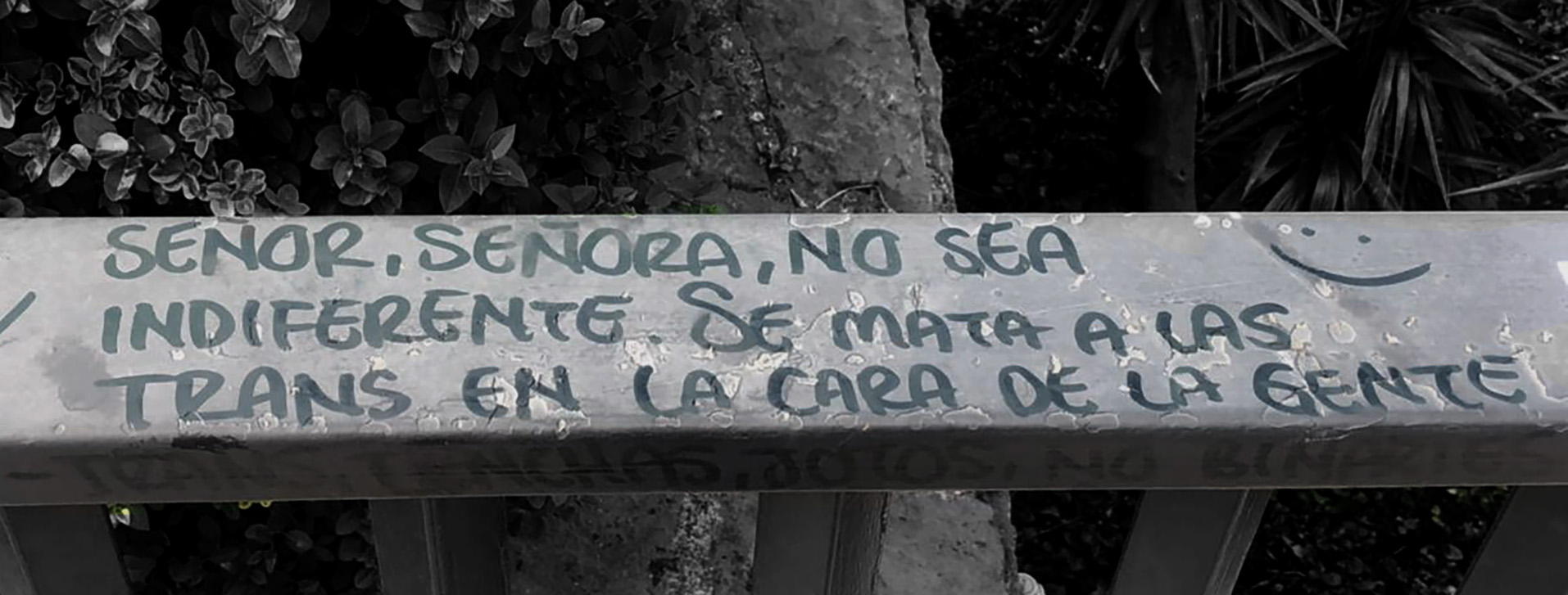 furia trans
