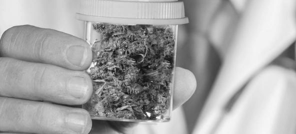 CANNABIS MEDICINAL ECUADOR