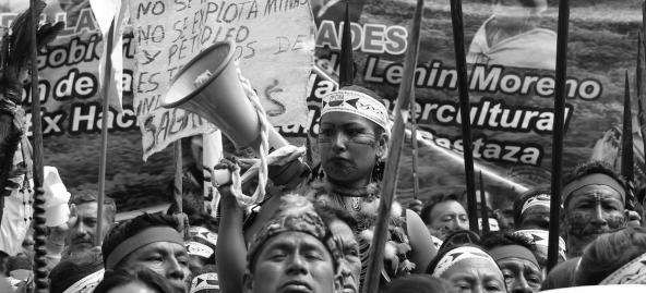 El cinismo de Moreno no encuentra límites, al tiempo que se declara amazónico, permite explotación en territorio de amortiguamiento 