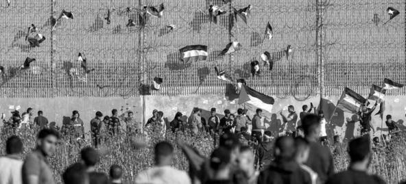 free palestine