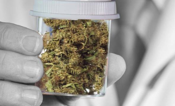 CANNABIS MEDICINAL ECUADOR