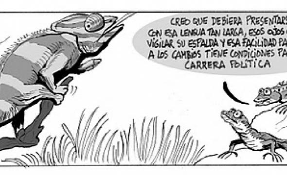 camaleon