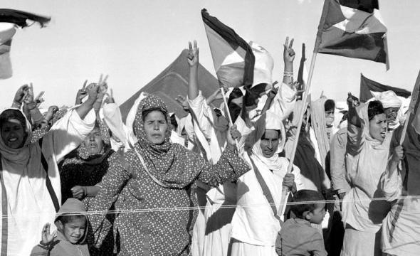 frente polisario